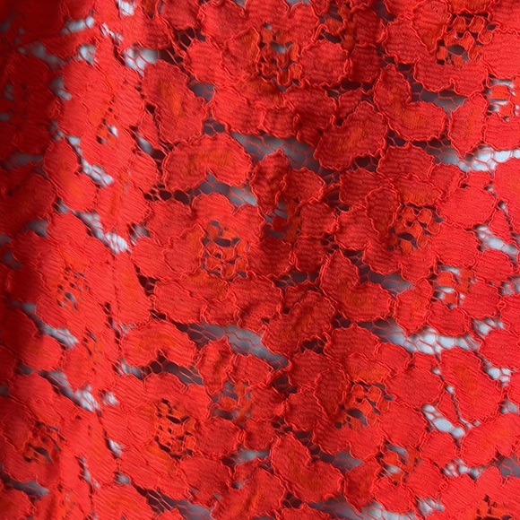 CeCe - Picture 5 of 7